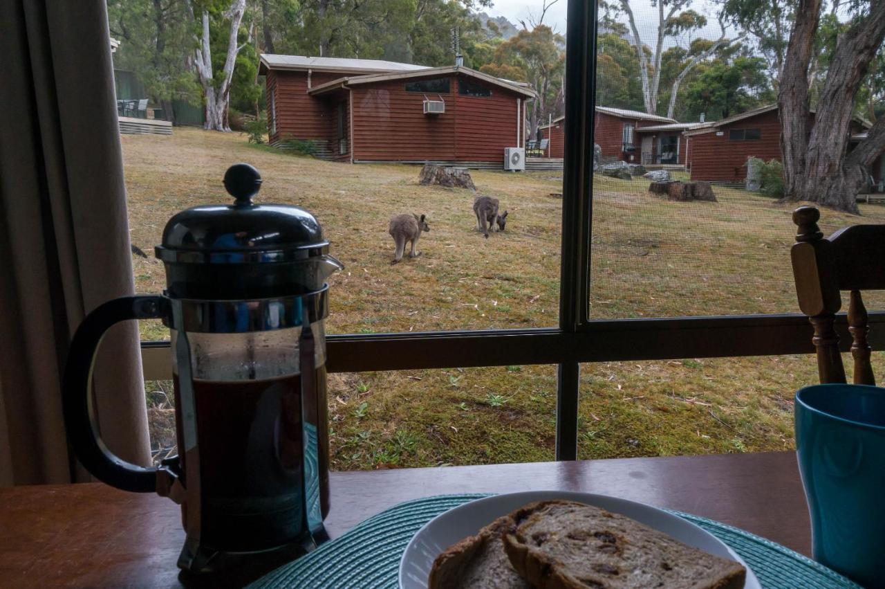 Wonderland Cottages Halls Gap Exteriér fotografie